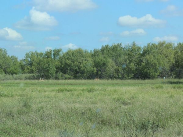 19268 A Hwy. 85, Big Wells, TX 78830