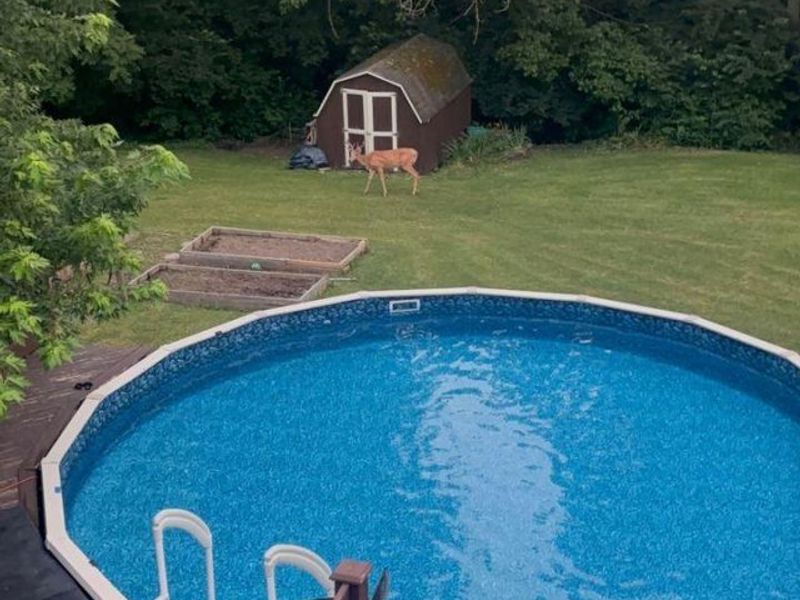 3899 Ridgedale Drive, Cincinnati, OH 45247 Photo 46