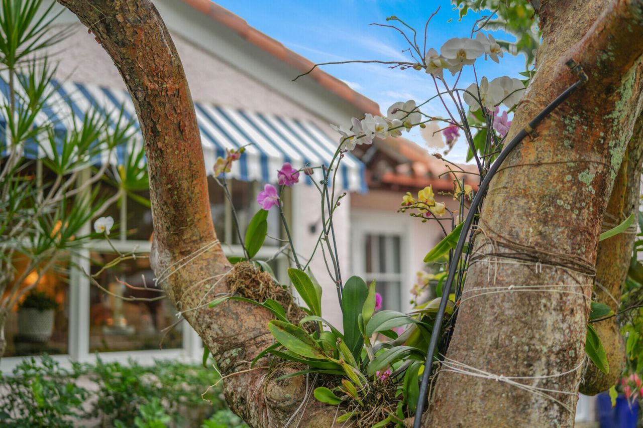 118 N Dixie Boulevard, Delray Beach, FL 33444 Photo