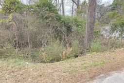 0 Mitten Road photo 4