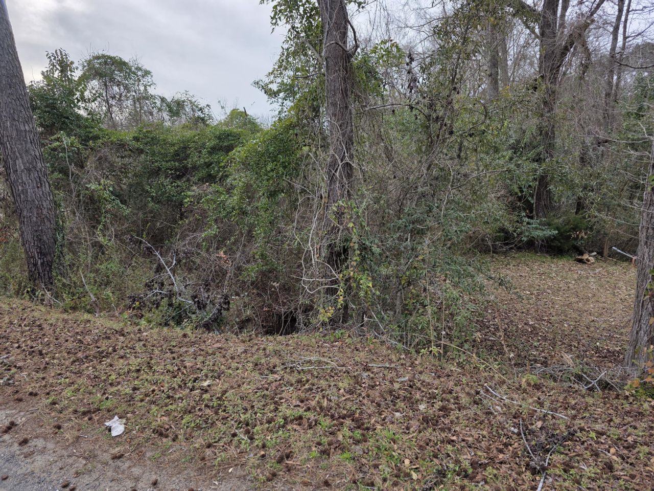 0 Mitten Road Photo 4