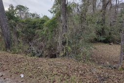 0 Mitten Road photo 4