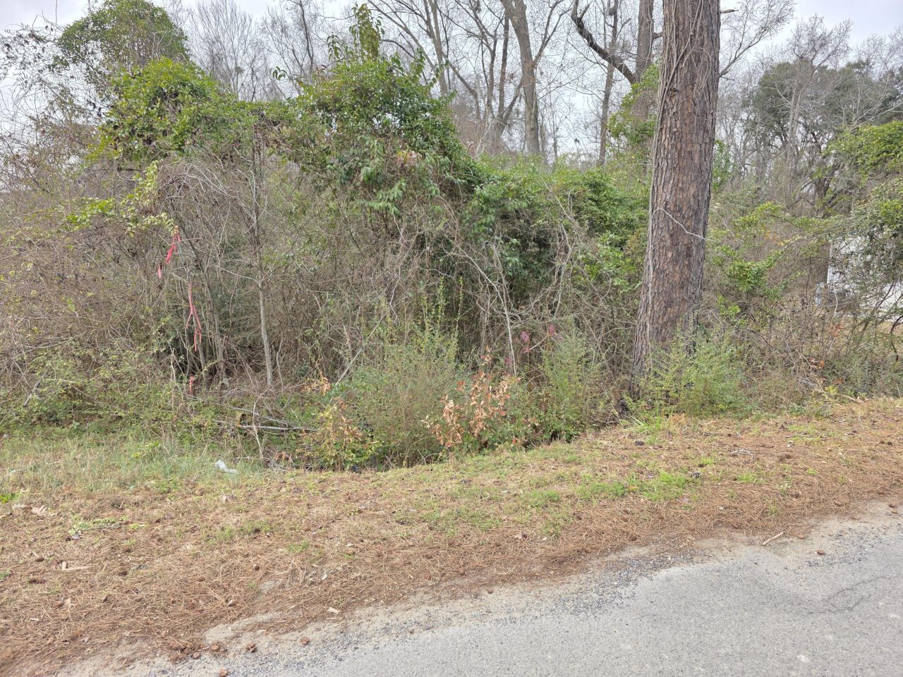 0 Mitten Road Photo 5