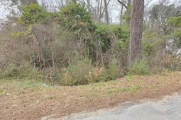 0 Mitten Road photo 4