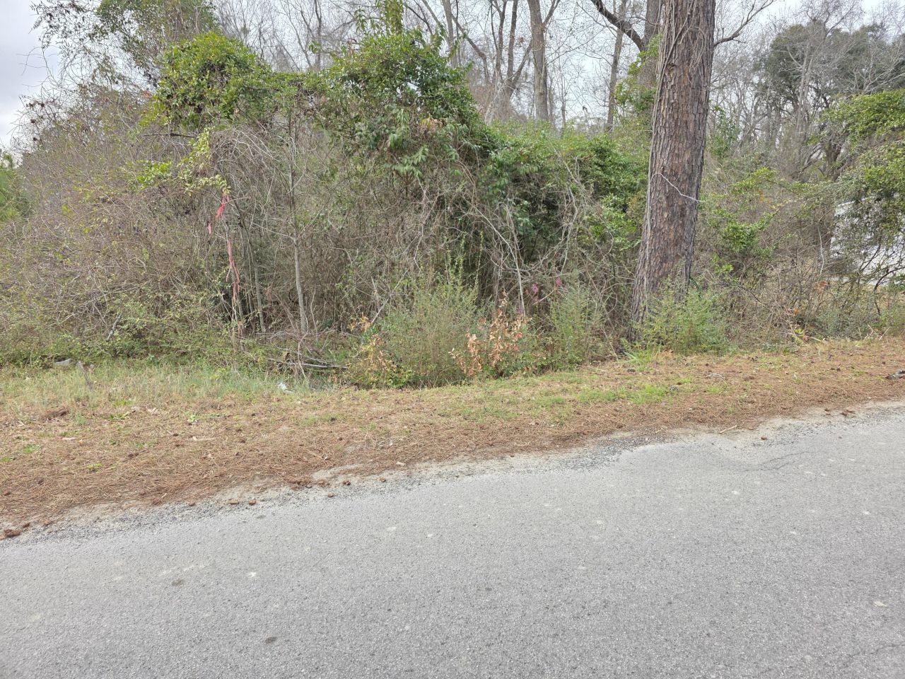 0 Mitten Road Photo 6