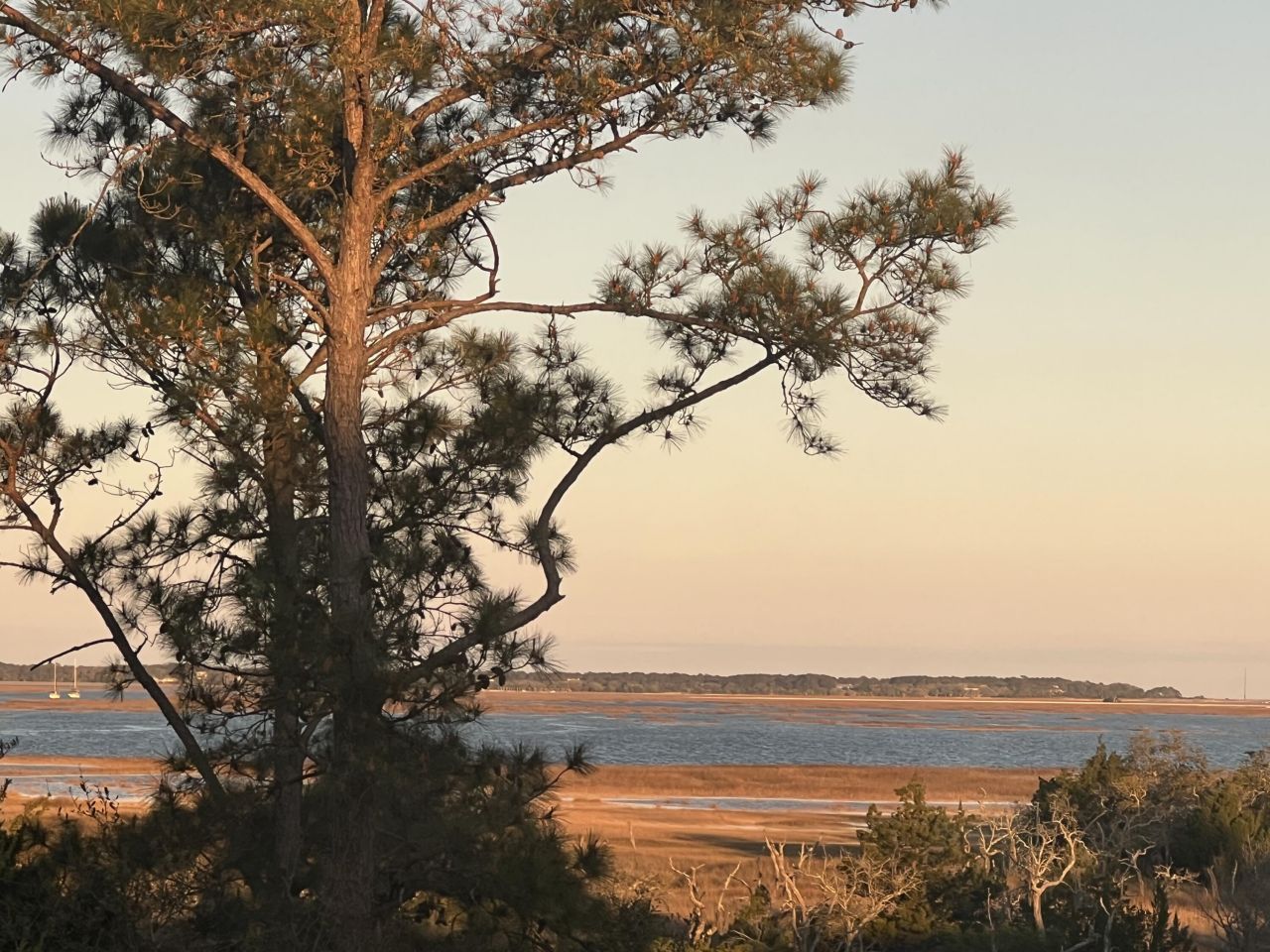 2080 Amenity Park Drive Photo 38