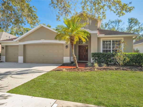 17115 FALCONRIDGE ROAD, LITHIA, FL 33547