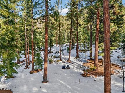 1264 Hidden Woods Drive, Glenbrook, NV 89413 Photo