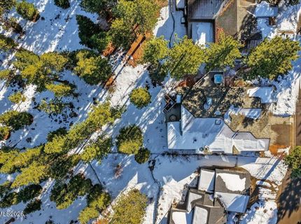 1264 Hidden Woods Drive, Glenbrook, NV 89413 Photo