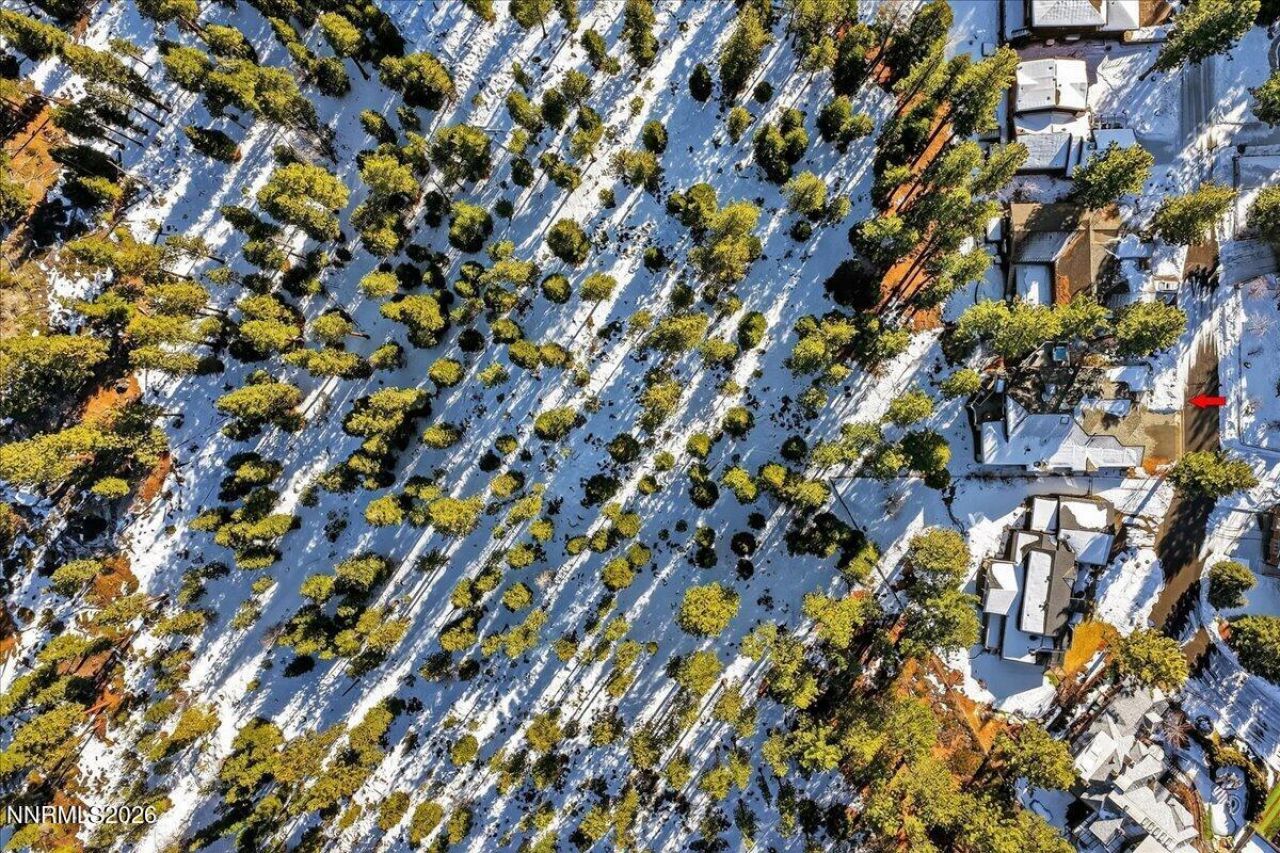 1264 Hidden Woods Drive, Glenbrook, NV 89413 Photo