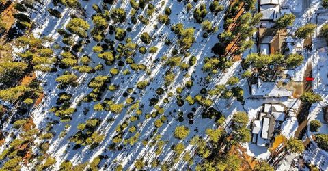 1264 Hidden Woods Drive, Glenbrook, NV 89413 Photo