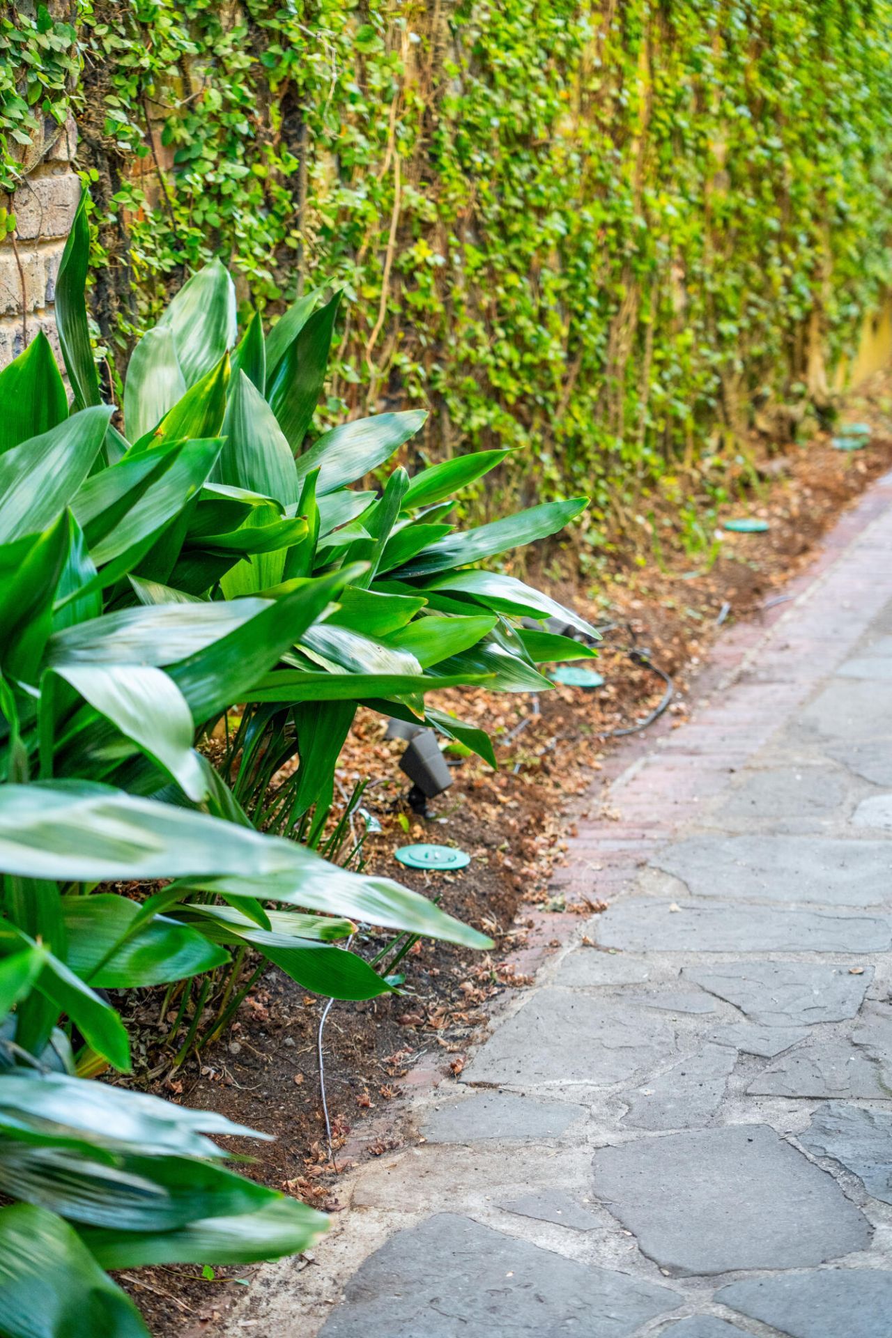 124 Church Street Photo 30