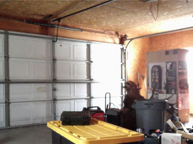 4741 Ceramic Road, Crooksville, OH 43731 Photo 21