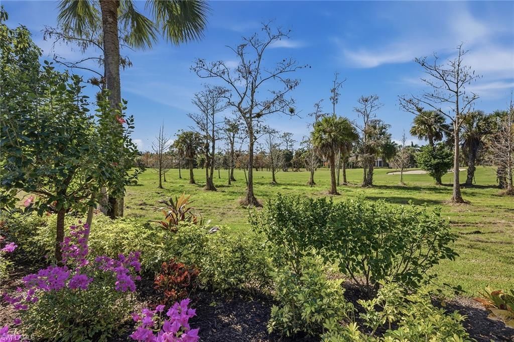 3842 Cotton Green Path Dr, Naples, FL 34114 Photo