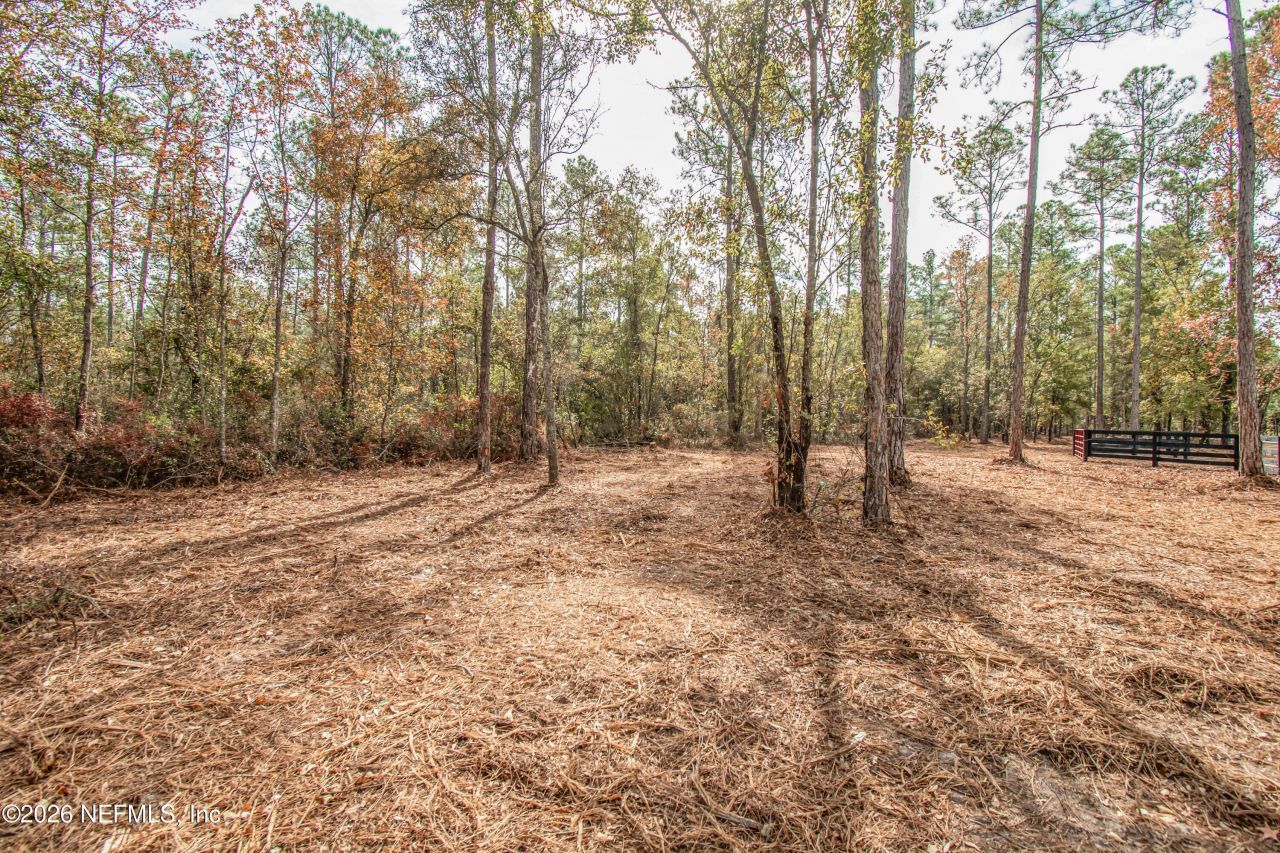 14320 C R 124, Sanderson, FL 32087 Photo