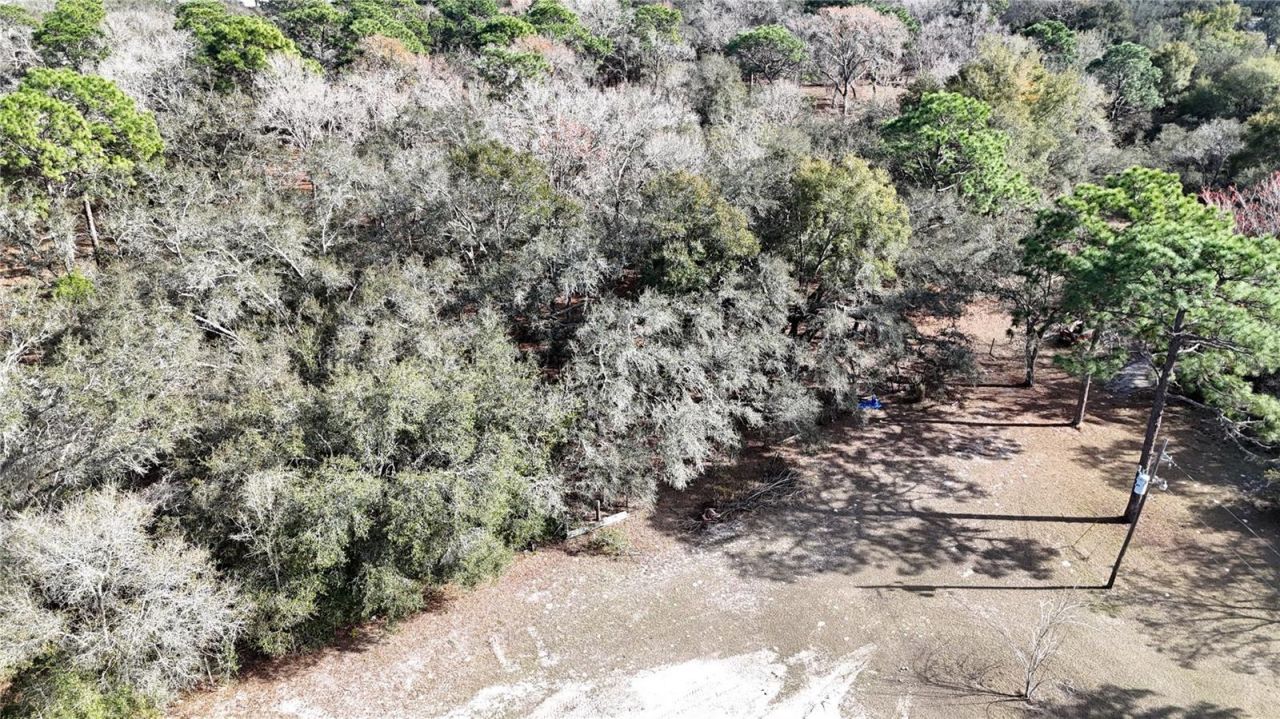 12510 Robinhood Road, Hudson, FL 34669 Photo