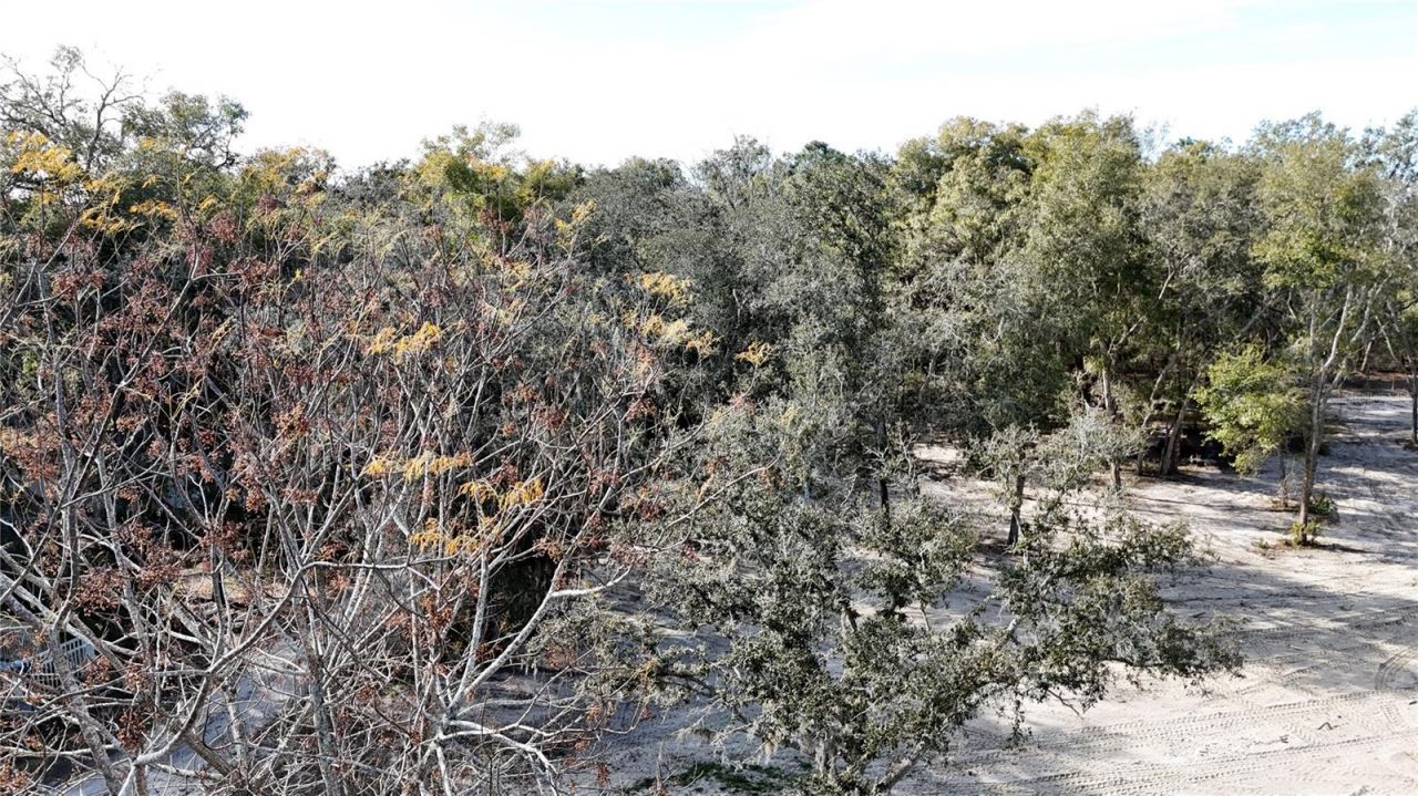 12510 Robinhood Road, Hudson, FL 34669 Photo