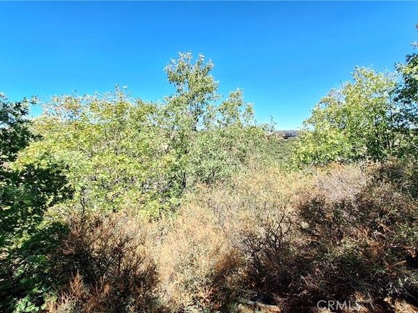 0 Coulter, Cedar Glen, CA 92321