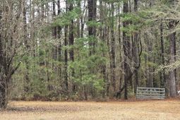 1205 Hard Pinch Road photo 4