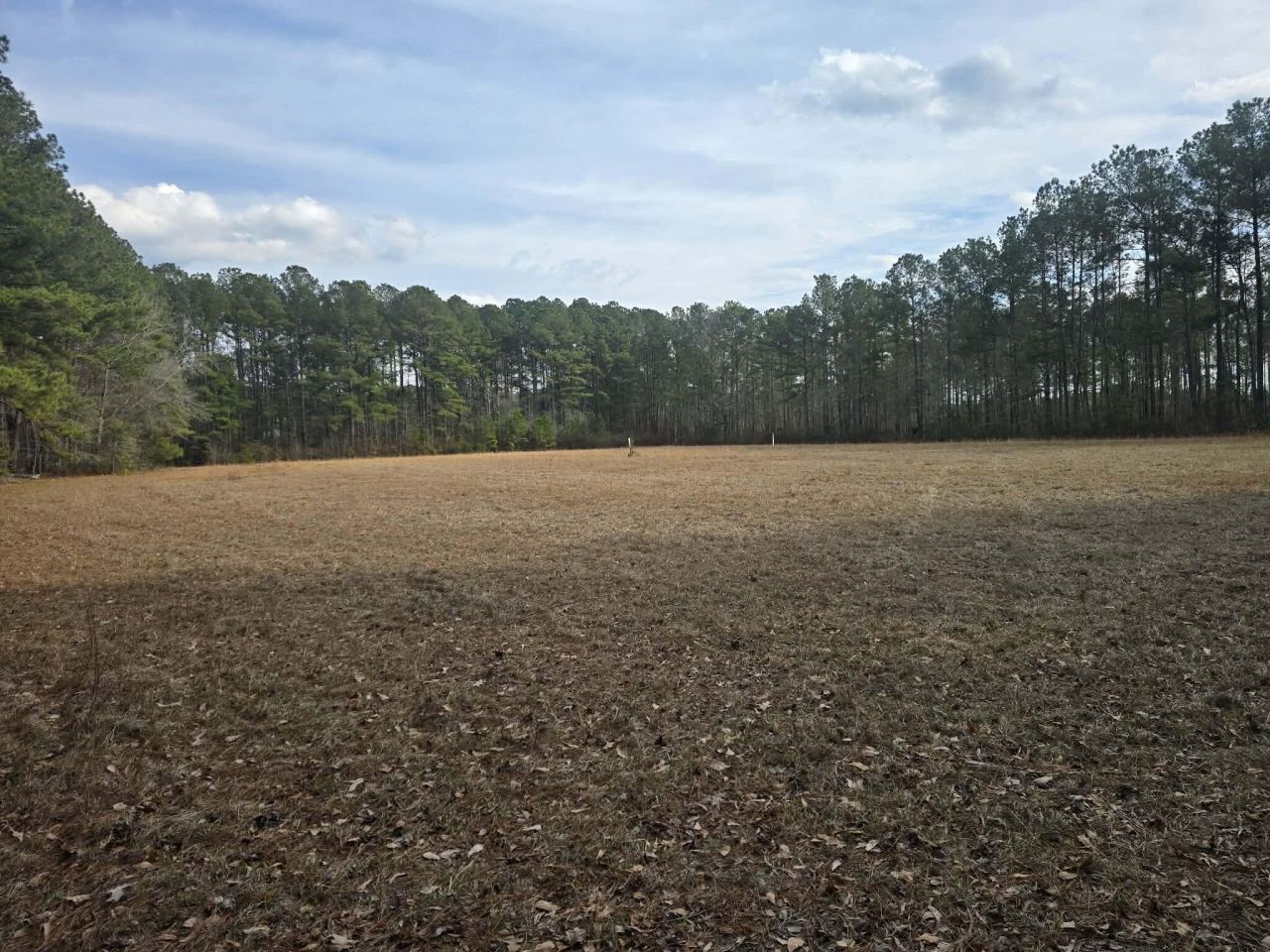 1205 Hard Pinch Road Photo 4