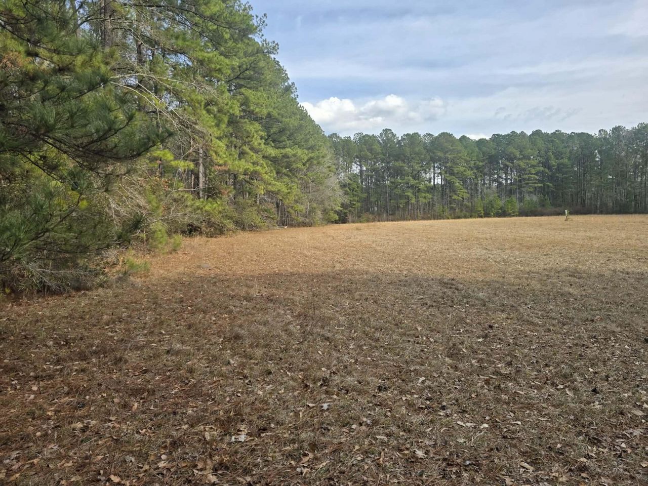 1205 Hard Pinch Road Photo 5