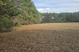 1205 Hard Pinch Road photo 4