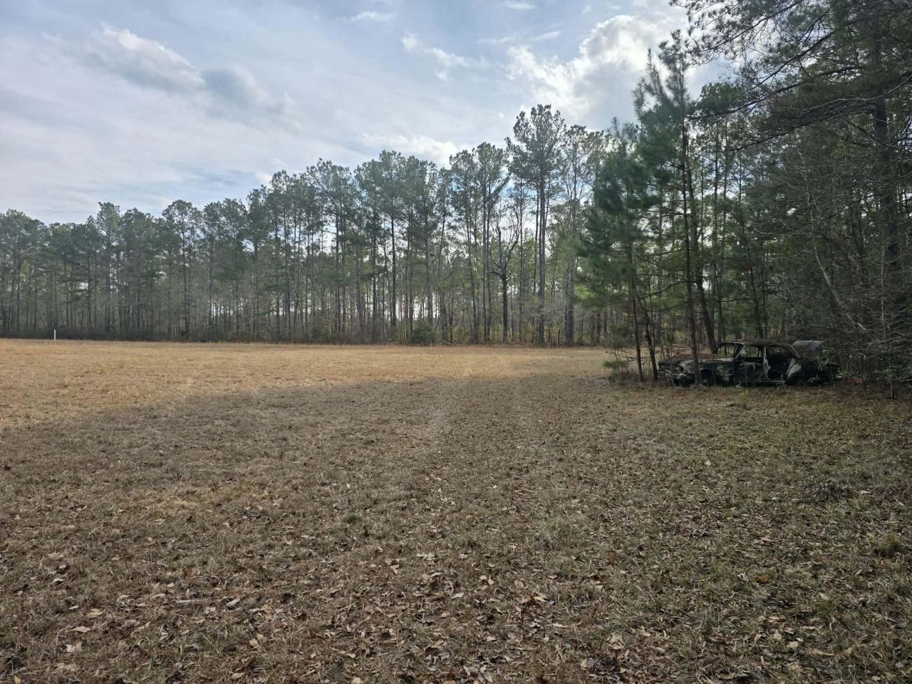 1205 Hard Pinch Road Photo 6