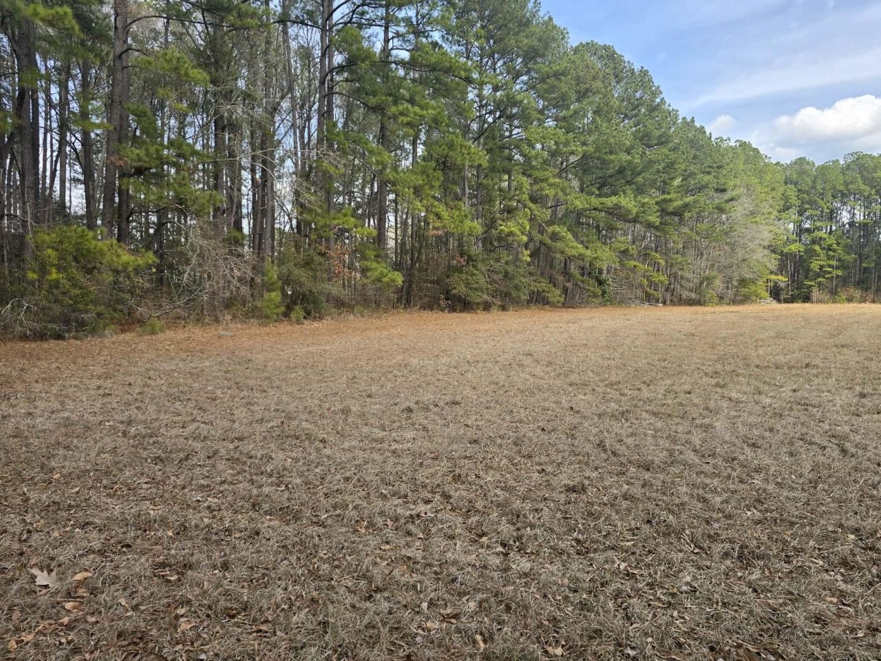 1205 Hard Pinch Road Photo 7