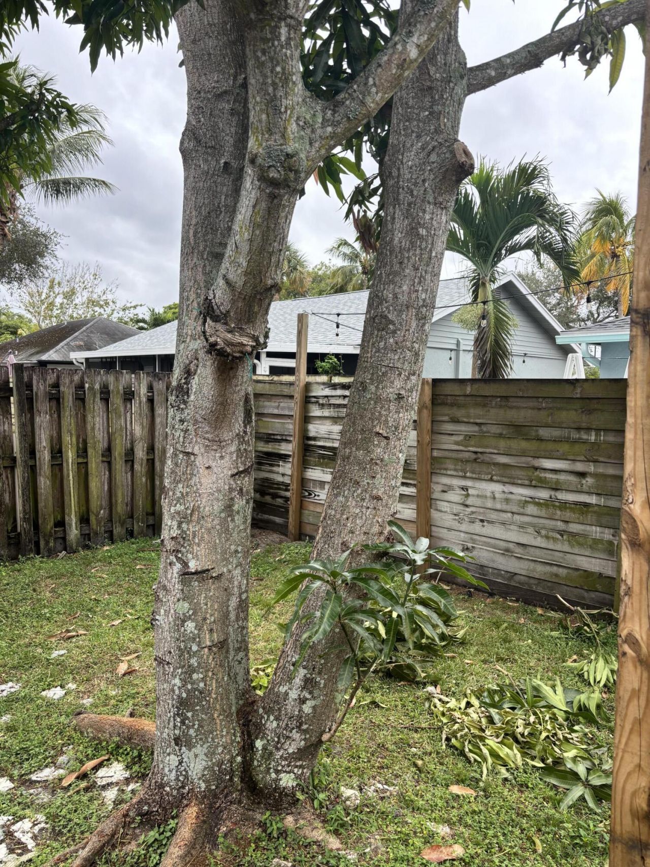 14539 Wood Pine Drive, Delray Beach, FL 33445 Photo