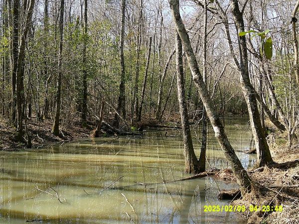 0 Elko Road, Unadilla, GA 31091