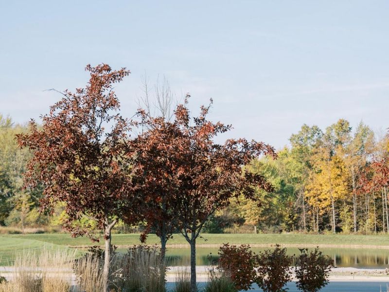 5618 Hickory Drive, Lewis Center, OH 43035 Photo 57