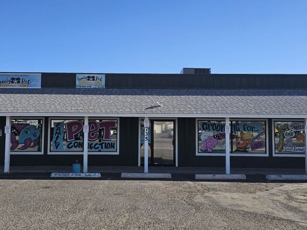 735 S Taylor Street, Fallon, NV 89406