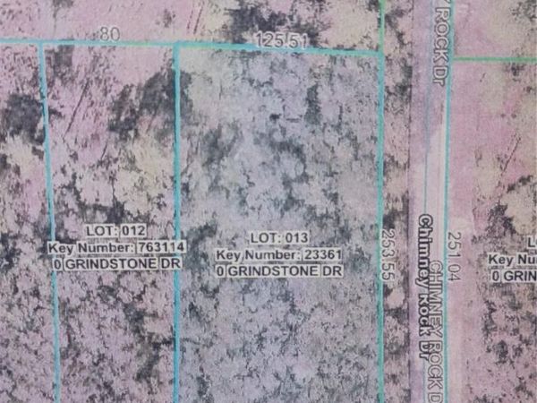 GRINDSTONE DRIVE, WEBSTER, FL 33597