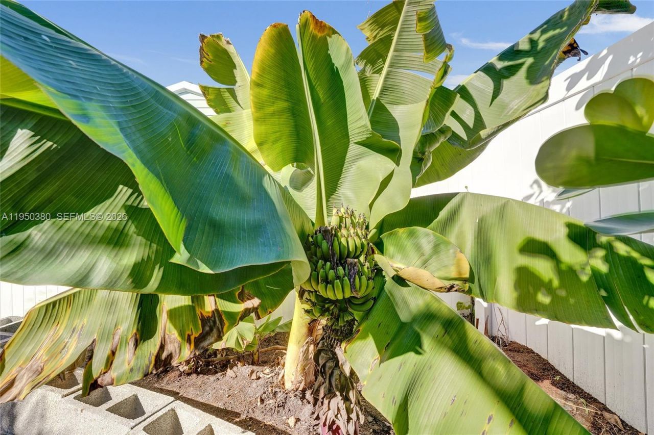 7601 Farragut St, Hollywood, FL 33024 Photo