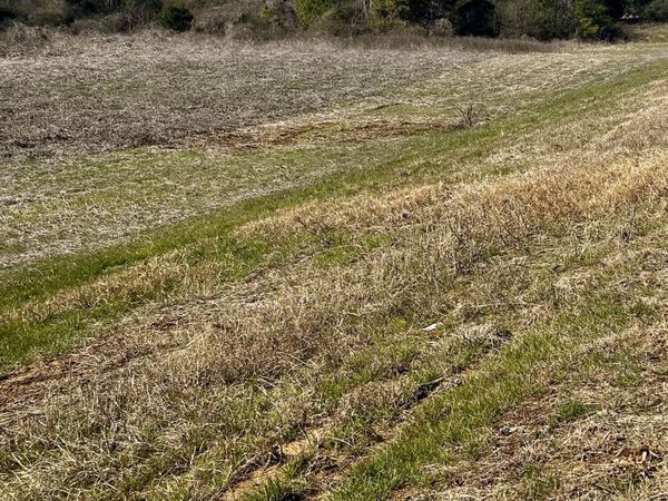 HWY US-82, Ethelsville, AL 35461