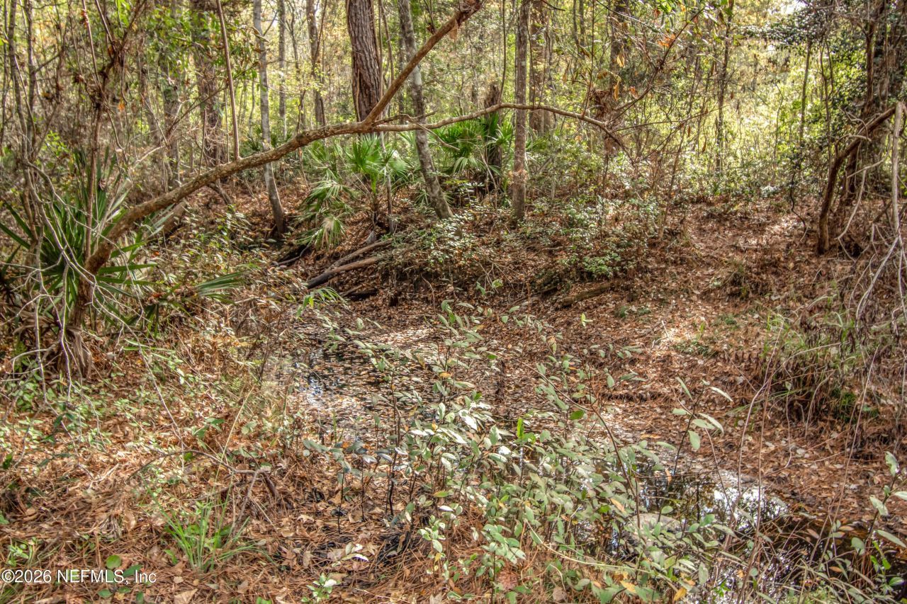 14440 C R 124, Sanderson, FL 32087 Photo