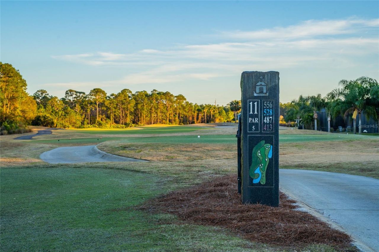 2830 S Asciano Court, New Smyrna Beach, FL 32168 Photo