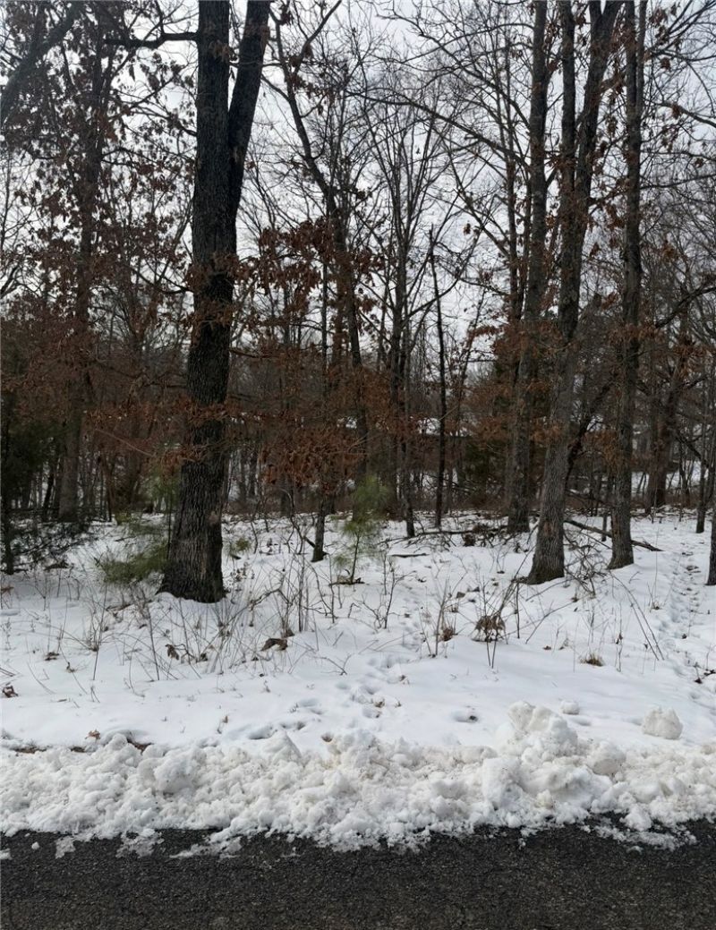 Arbroath Lane, Bella Vista, AR 72715 Main Photo