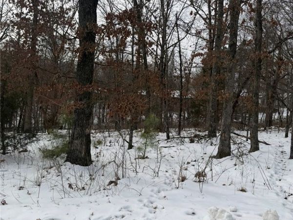 Arbroath Lane, Bella Vista, AR 72715