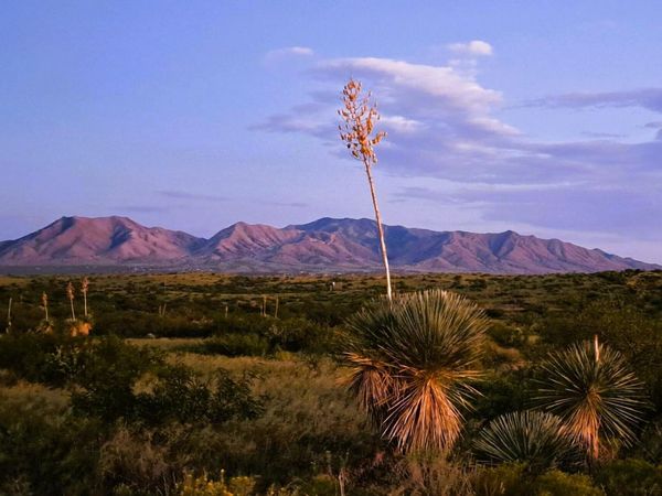 TBD E Walker Ranch Road, Unit '-', Dragoon, AZ 85609