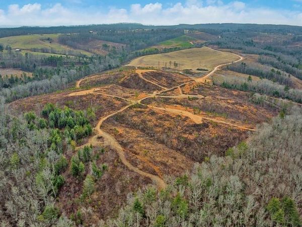 0 Possum Trot Road - Tract 13, Grandview, TN 37337