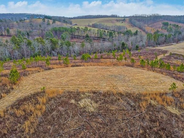 0 Possum Trot Road - Tract 2, Grandview, TN 37337