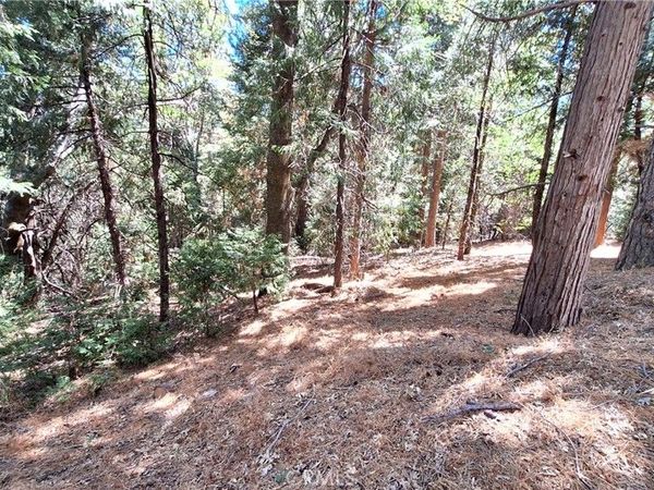 0 Cedar Pines, Cedarpines Park, CA 92322