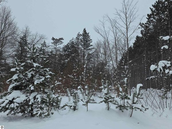 Saint Johns Road, Interlochen, MI 49643