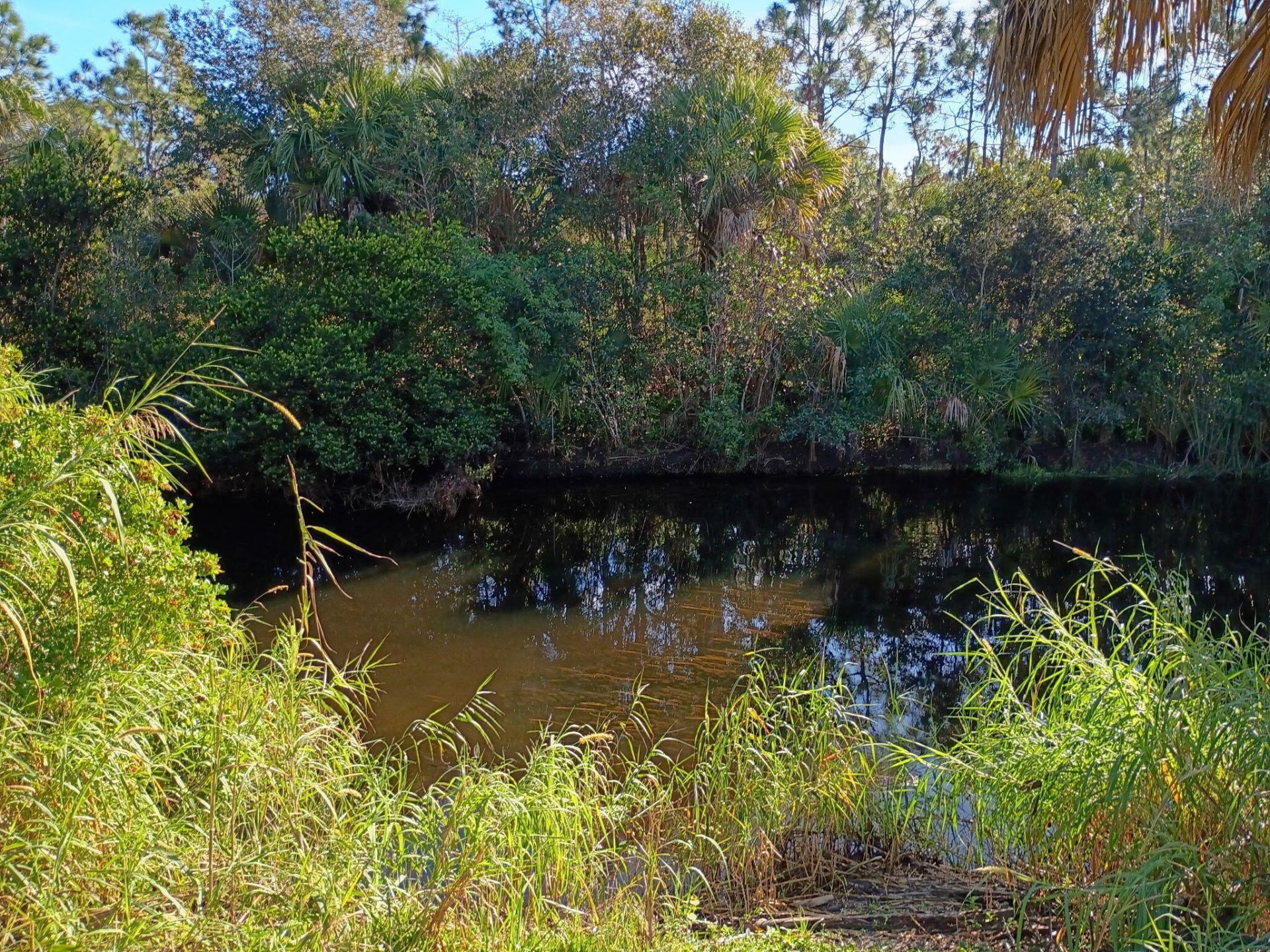 16038 Robin Way, Jupiter, FL 33478 Photo