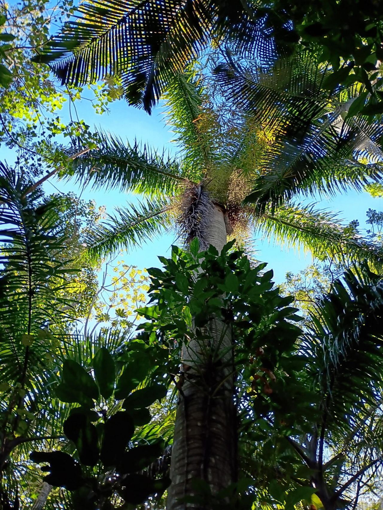 16038 Robin Way, Jupiter, FL 33478 Photo