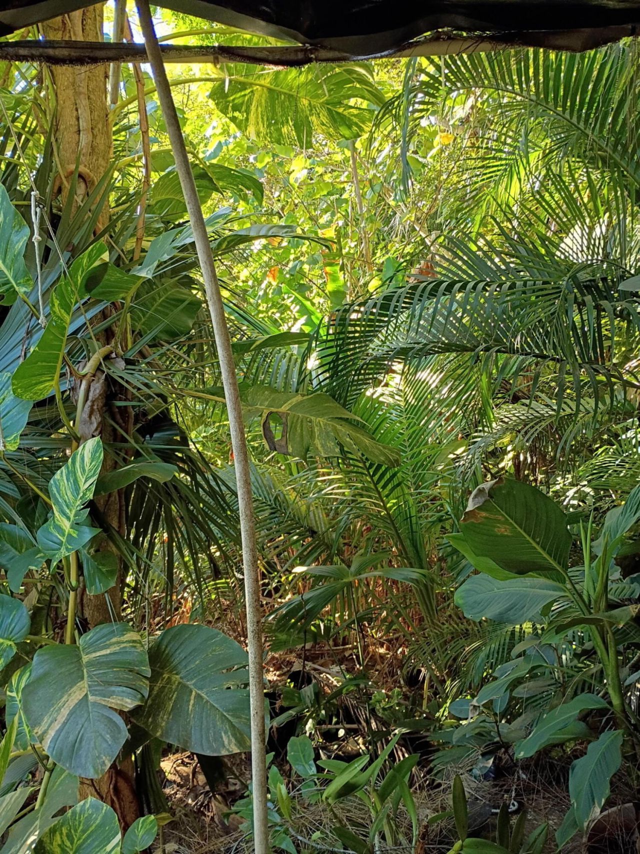 16038 Robin Way, Jupiter, FL 33478 Photo