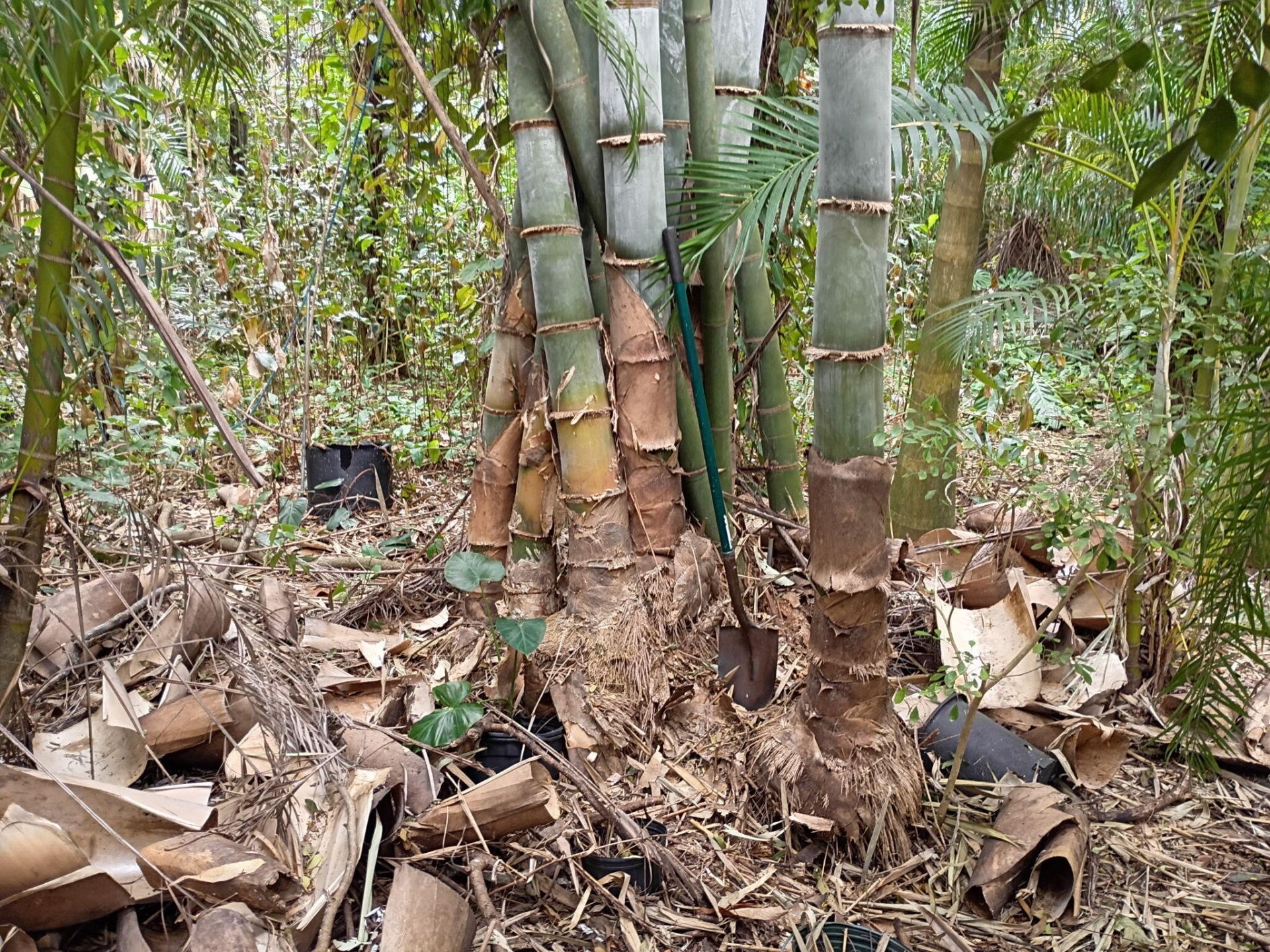 16038 Robin Way, Jupiter, FL 33478 Photo