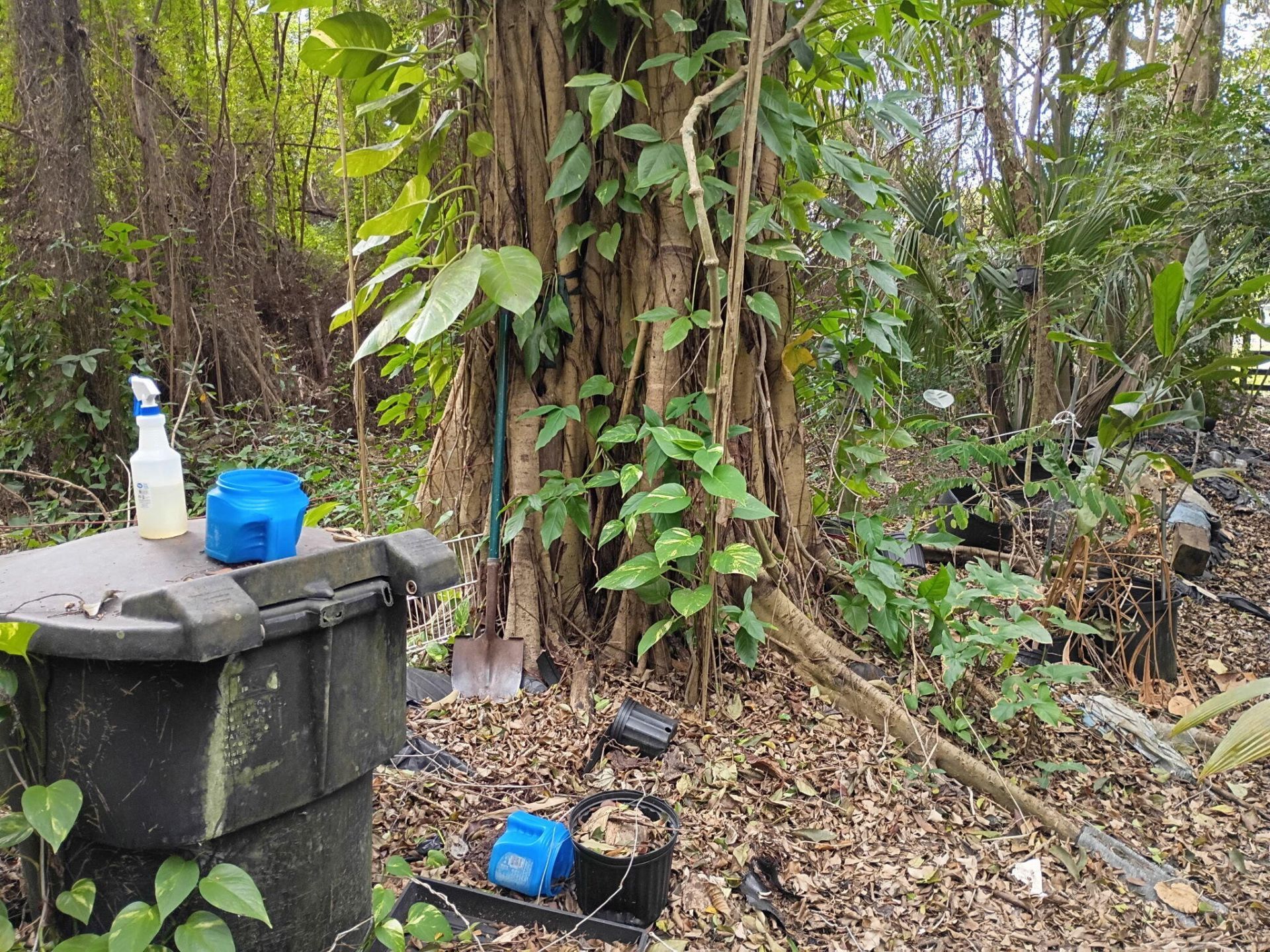 16038 Robin Way, Jupiter, FL 33478 Photo