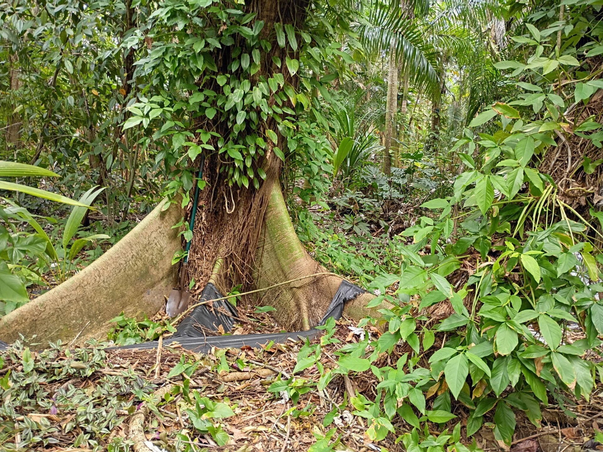 16038 Robin Way, Jupiter, FL 33478 Photo